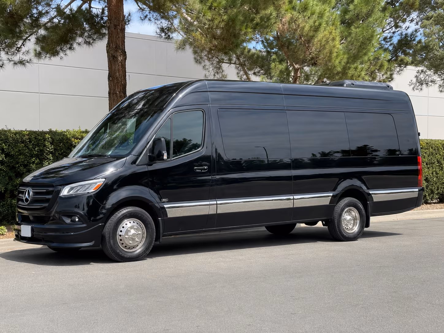 allentown wedding sprinter van rental